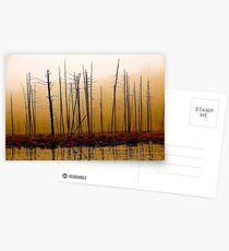 Vernal Postcards