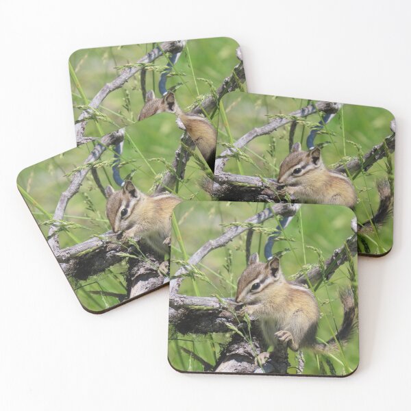 Item preview, Chipmunk Snacktime #3 designed and sold by DigitalGen.