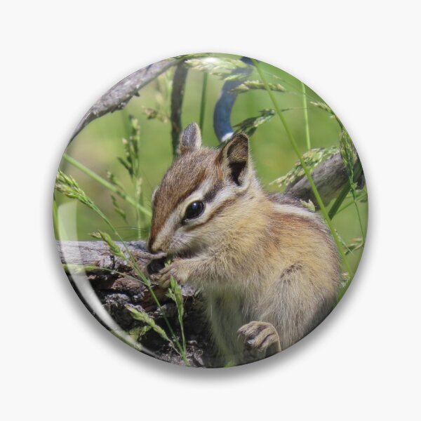Item preview, Chipmunk Snacktime #3 designed and sold by DigitalGen.