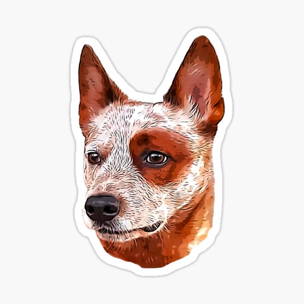 "Red Heeler Australian Cattle Dog" Sticker by Elarex | Redbubble