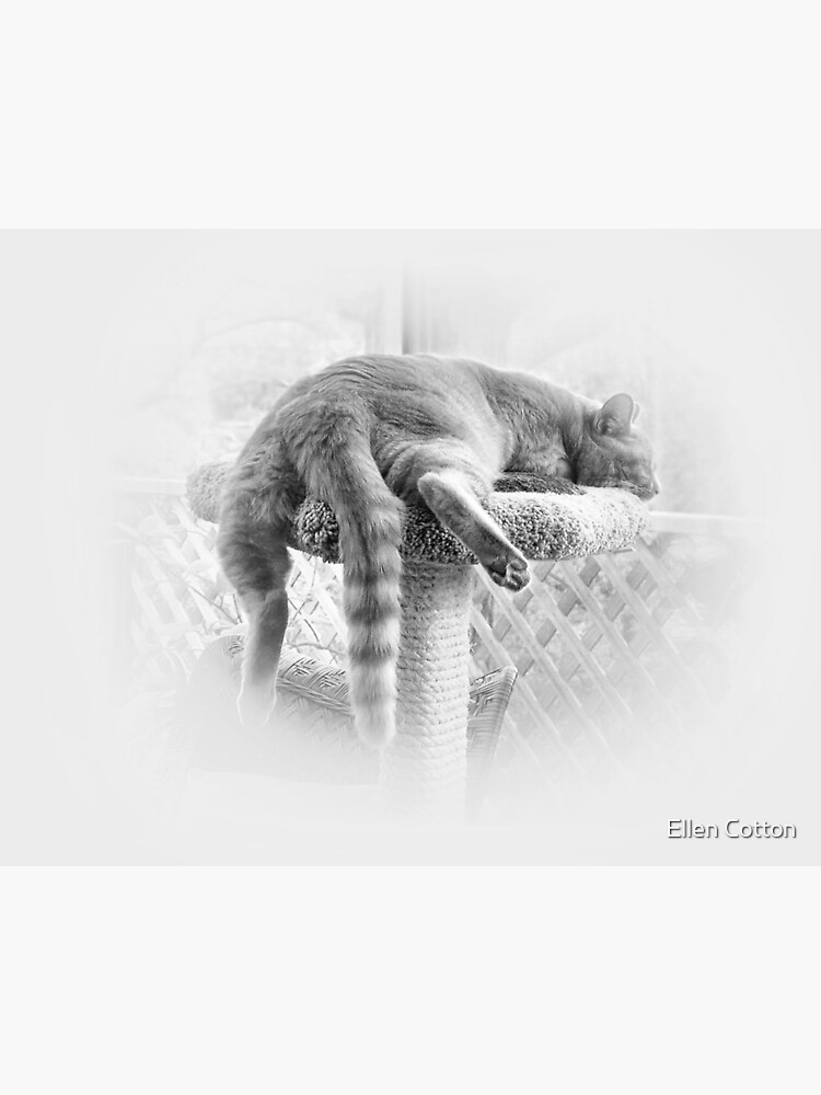 Sleeping It Off! by ellcot