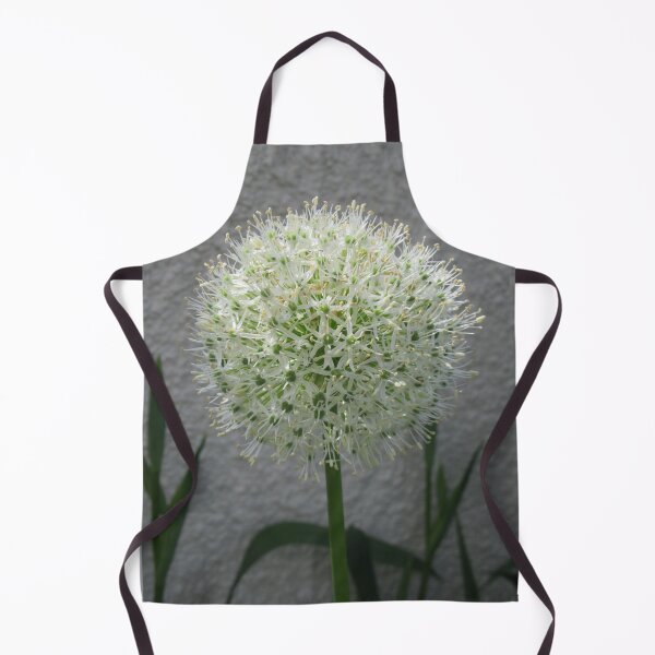 Item preview, White Allium designed and sold by lezvee.