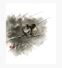 A pair of sparrows two birds brown bird original ink painting artwork Photographic Print