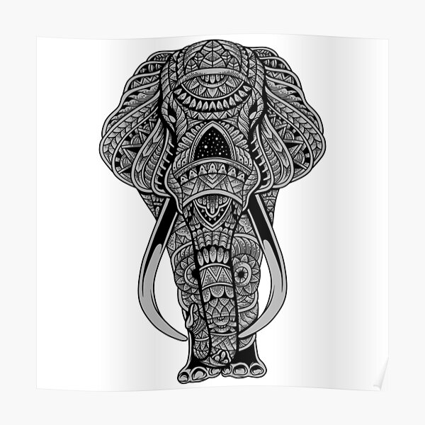 Download Elephant Mandala Coloring Posters Redbubble