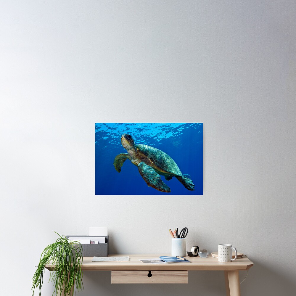 Chilling Poster