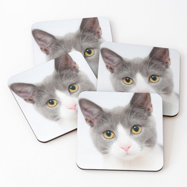 Item preview, Kitten designed and sold by Coolprints1.