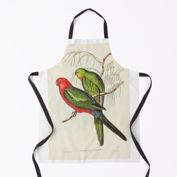 Item preview, John Gould King Parrot designed and sold by upoutandaway.
