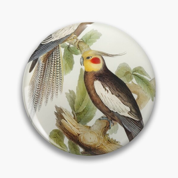 Item preview, John Gould Cockatiels designed and sold by upoutandaway.