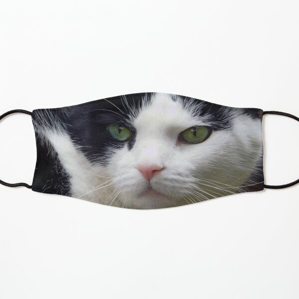 Black and white cat. Kids Mask