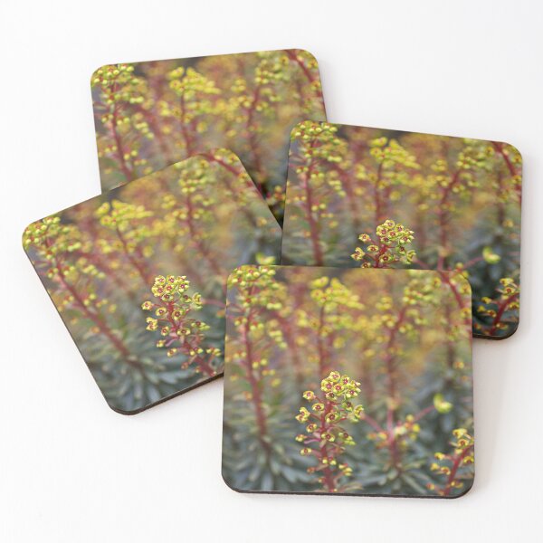 Item preview, Mediterranean Spurge Plant In Buds designed and sold by Joy Watson - Natural Light Photography .