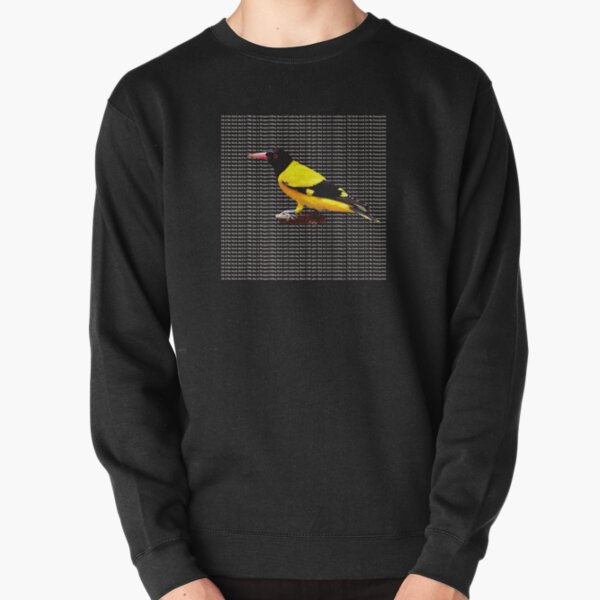 ALL OF THE BIRDS DIED IN 1986 Pullover Sweatshirt