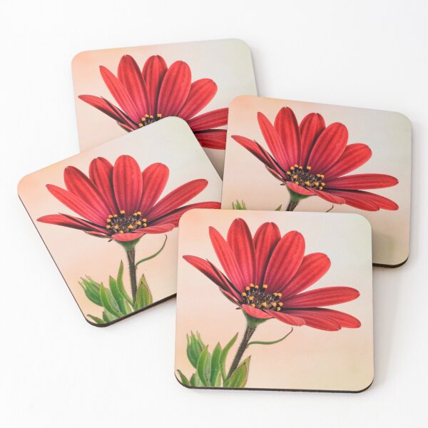 Item preview,  Red Osteospermum. designed and sold by John Ray.