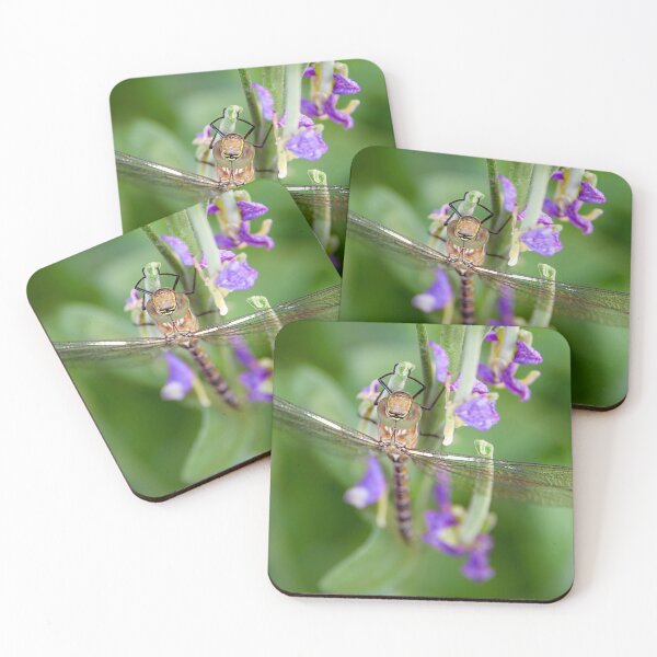 Item preview, Dragonfly designed and sold by Svetlana Sewell.