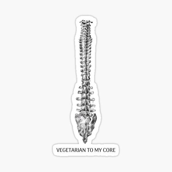 Vegetarian Spine Back Sticker