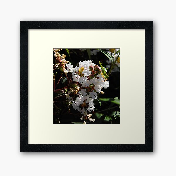 Item preview, Grasshopper On Crepe Myrtle designed and sold by WildestArt.