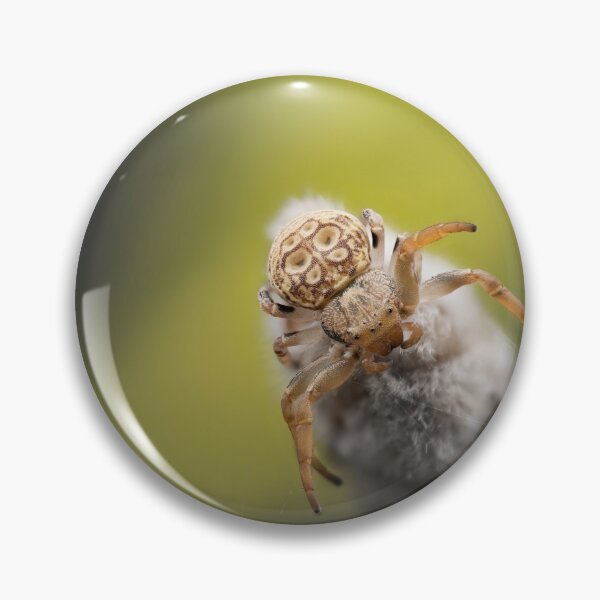 Item preview, Macro photo of a crab spider designed and sold by hendrikspix.