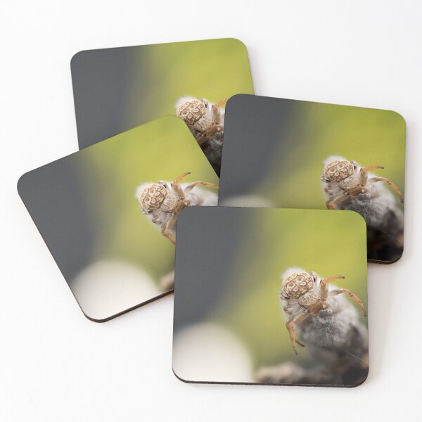 Item preview, Macro photo of a crab spider designed and sold by hendrikspix.