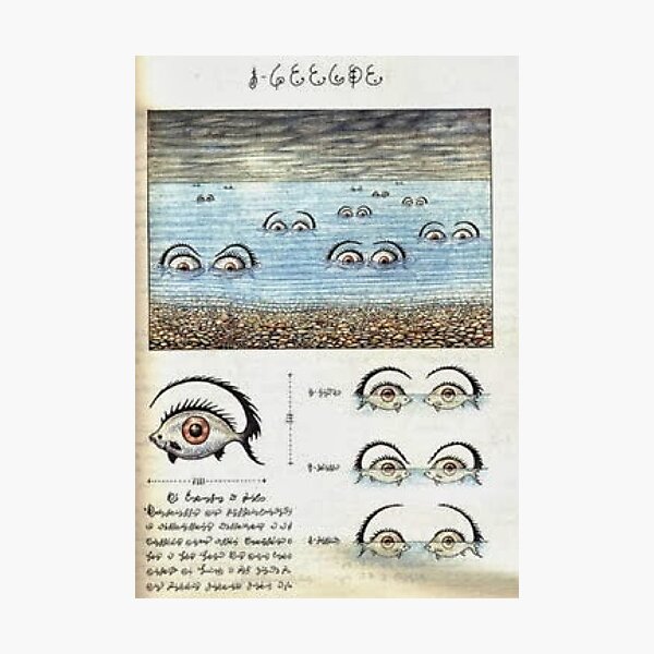 Codex Seraphinianus Photographic Print