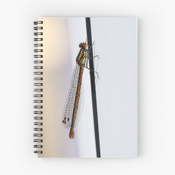 Item preview, Damselfly designed and sold by GreyFeatherPhot.