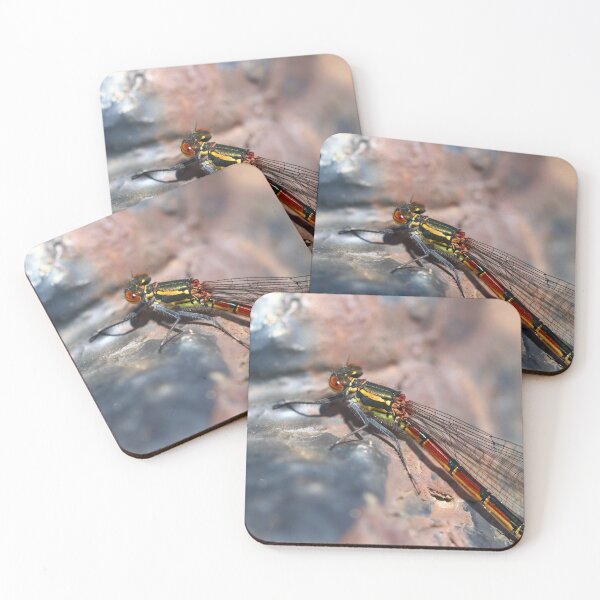 Item preview, Small red damselfly designed and sold by GreyFeatherPhot.
