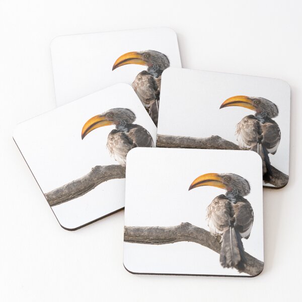 Item preview, Yellow-billed Thornbill designed and sold by Images by Chris de Blank.