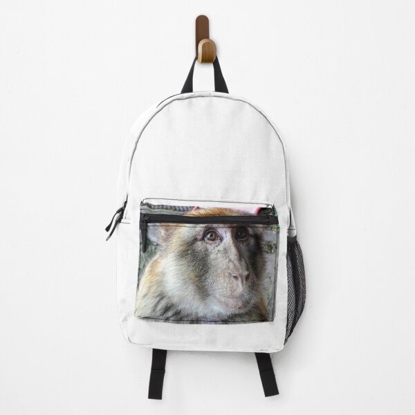 Item preview, Cute monkey face photo, Gibraltar Barbary macaques designed and sold by Tanja Dianova.