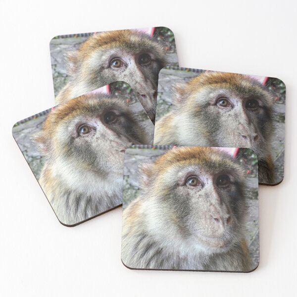 Item preview, Cute monkey face photo, Gibraltar Barbary macaques designed and sold by Tanja Dianova.