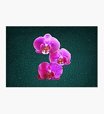Light Painting Purple Award Winning Orchid Photographic Print