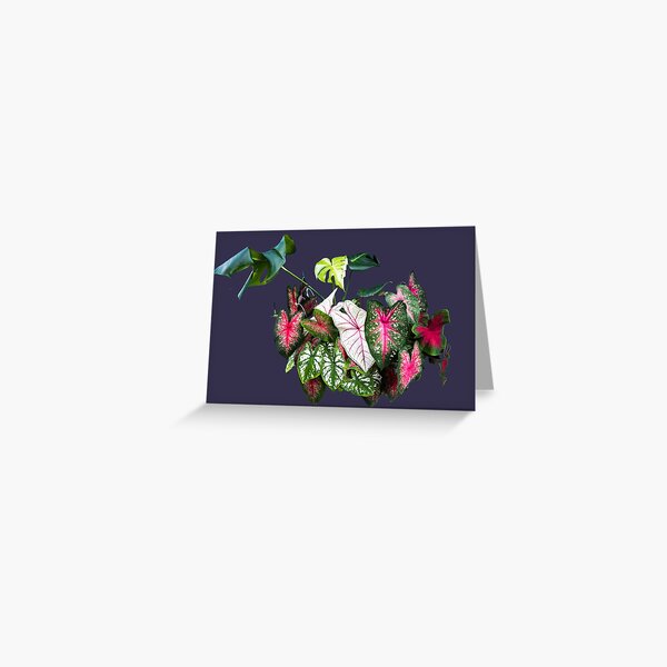 Pleasant tropical breeze Greeting Card