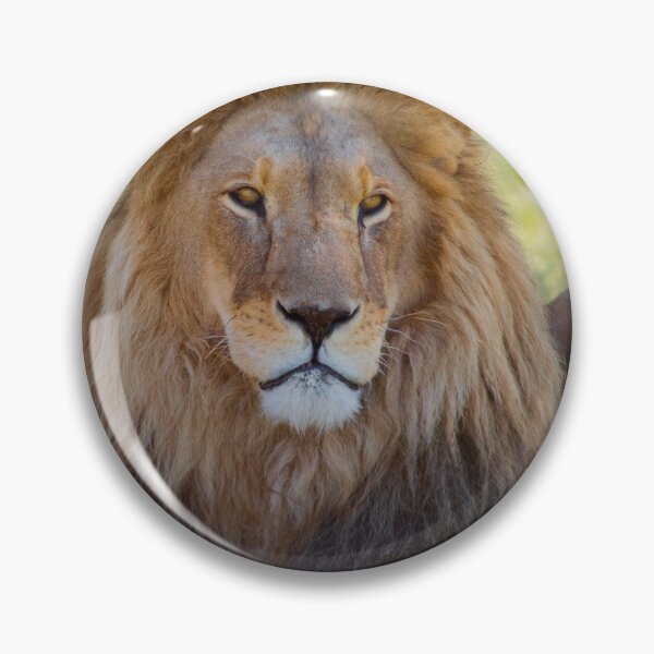 Item preview, Lion Photogrpahy designed and sold by Carpenter2020.