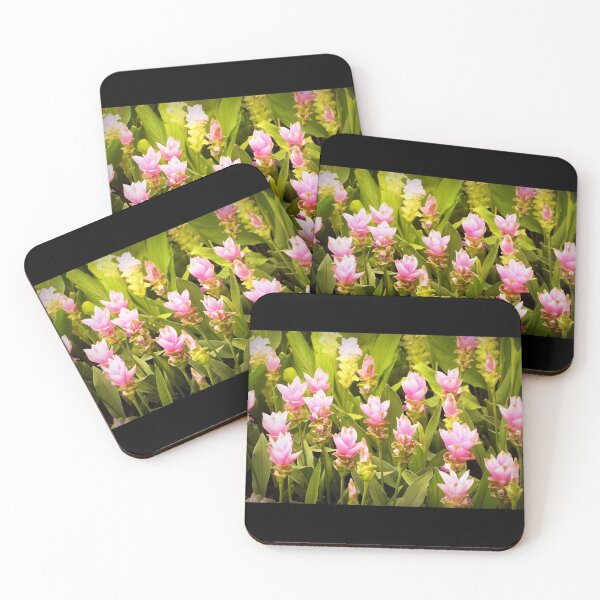 Item preview, Curcuma turmeric has flowers like purple-pink lotus flowers. Found in Thailand. designed and sold by greengoodnich.