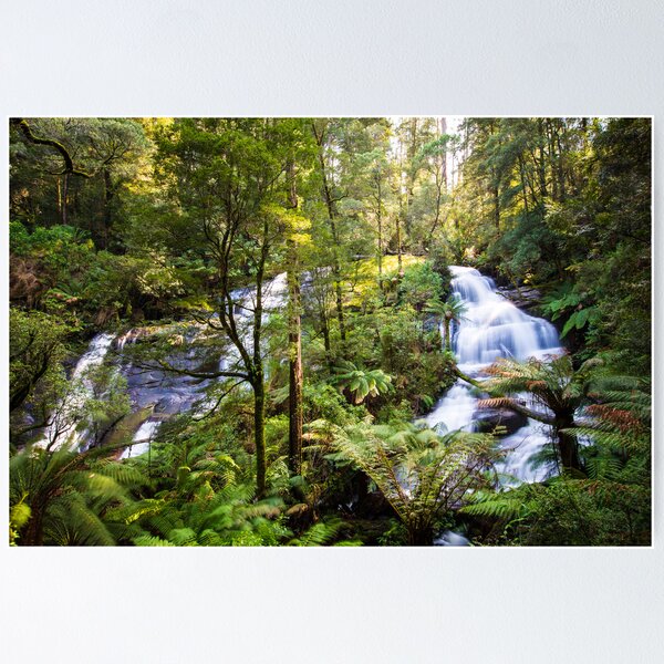 Item preview, Triplet Falls, Great Otway National Park designed and sold by davebanenphoto.