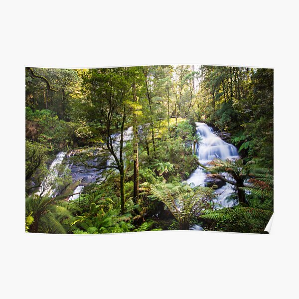 Triplet Falls, Great Otway National Park Poster