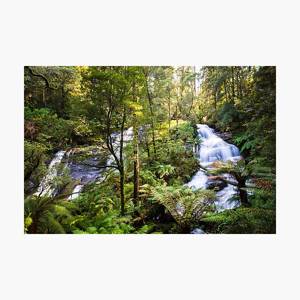 Item preview, Triplet Falls, Great Otway National Park designed and sold by davebanenphoto.