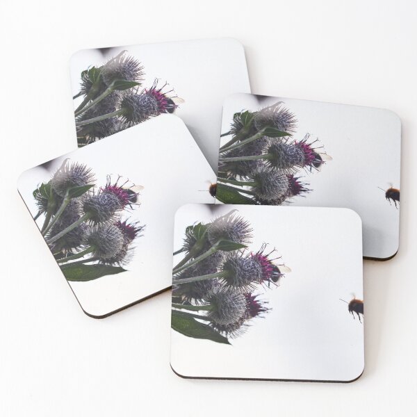 Item preview, Make some room I'm coming. Woolly burdock 4 designed and sold by Jouko Lehto Photography.