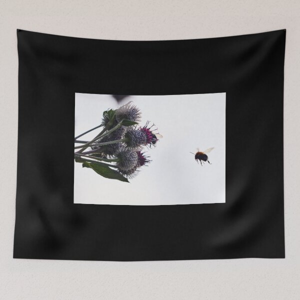 Item preview, Make some room I'm coming. Woolly burdock 4 designed and sold by Jouko Lehto Photography.