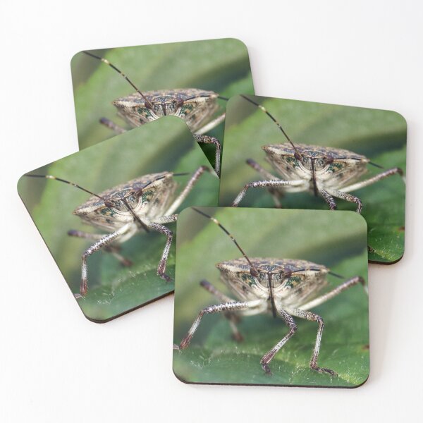 Item preview, Brown Stinkbug Face  designed and sold by mark-bugs-org.