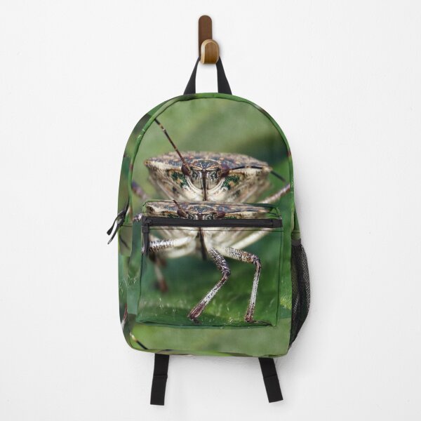 Item preview, Brown Stinkbug Face designed and sold by mark-bugs-org.