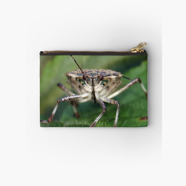 Item preview, Brown Stinkbug Face  designed and sold by mark-bugs-org.