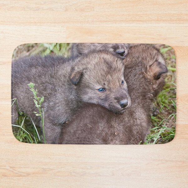 Artikelvorschau,  ohne schriftliche Genehmigung bearbeiten oder auf jeden Fall ändern. Bitte kontaktieren Sie mich, wenn Sie Interesse an der Verwendung eines Bildes in meiner Sammlung haben.

Eingelassenes Quebec Kanada

Nikon D300
1/125
F6.7
ISO 640
EV 0,00
Spo entworfen und verkauft von WolvesOnly.