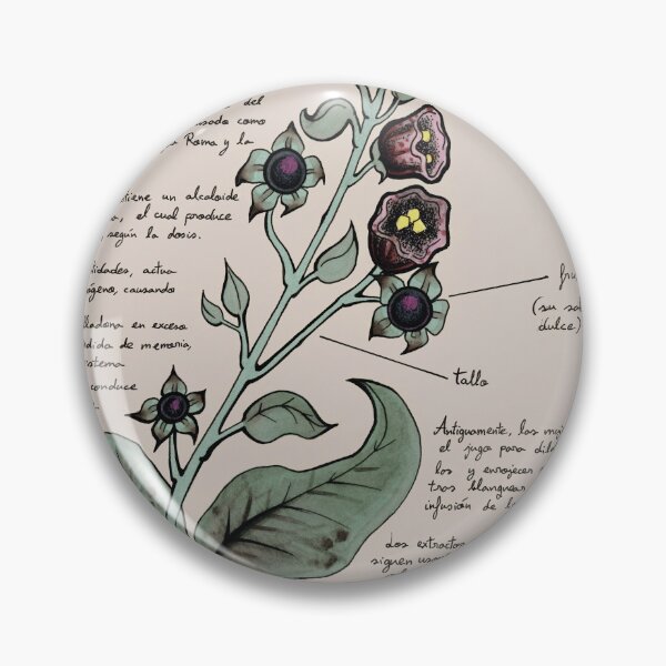 Item preview, Botanical study of belladonna designed and sold by GabrielPapaver.