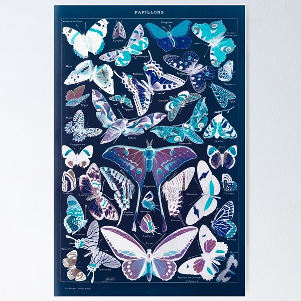 Item preview, Adolphe Millot papillons pour tous Inverted designed and sold by wetdryvac.