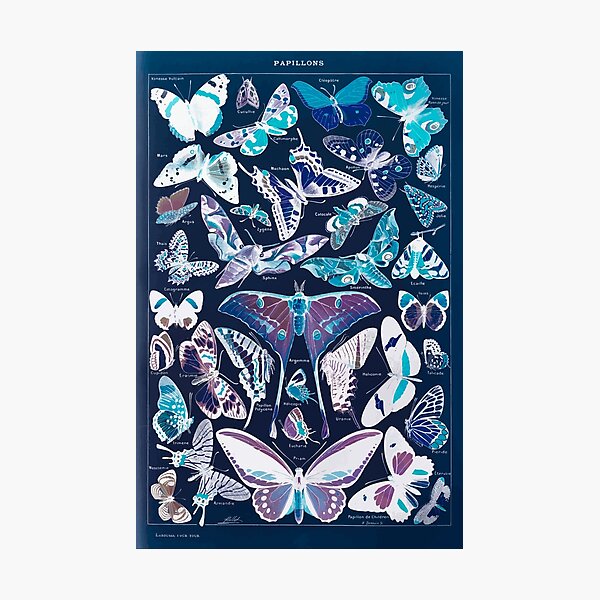 Item preview, Adolphe Millot papillons pour tous Inverted designed and sold by wetdryvac.