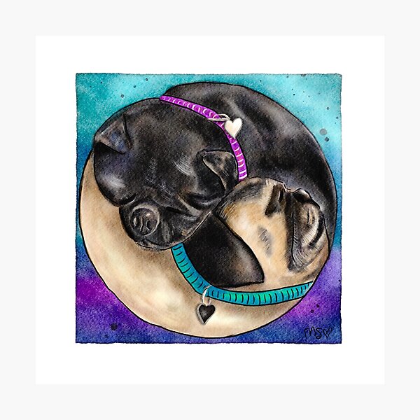 Item preview, Yin Yang Pugs designed and sold by Zendays.