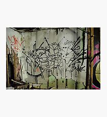 Freeform Graffiti - Photographic Print