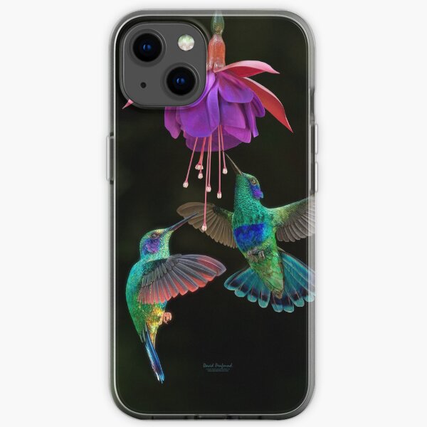 Hummingbird pair iPhone Soft Case