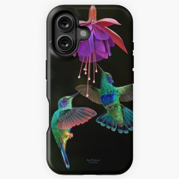 Hummingbird pair iPhone Tough Case