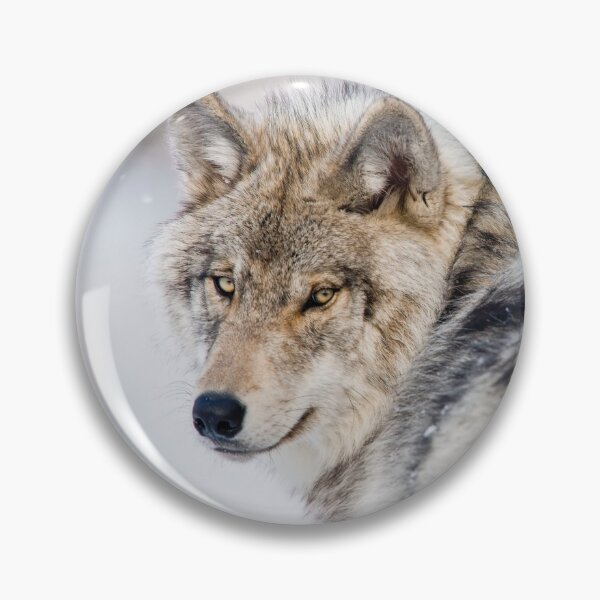 Item preview, Timber Wolf designed and sold by WolvesOnly.