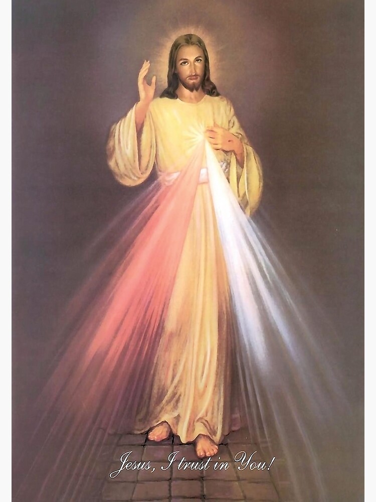 Discover Divine Mercy Canvas