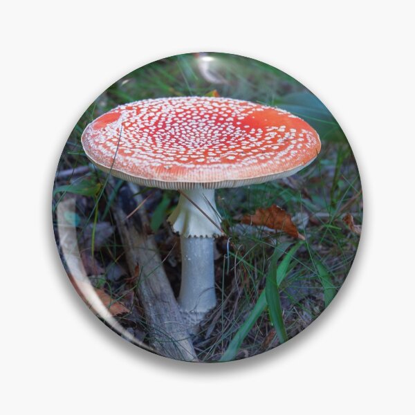 Item preview, Fly Agaric (poisonous) designed and sold by DisaM.